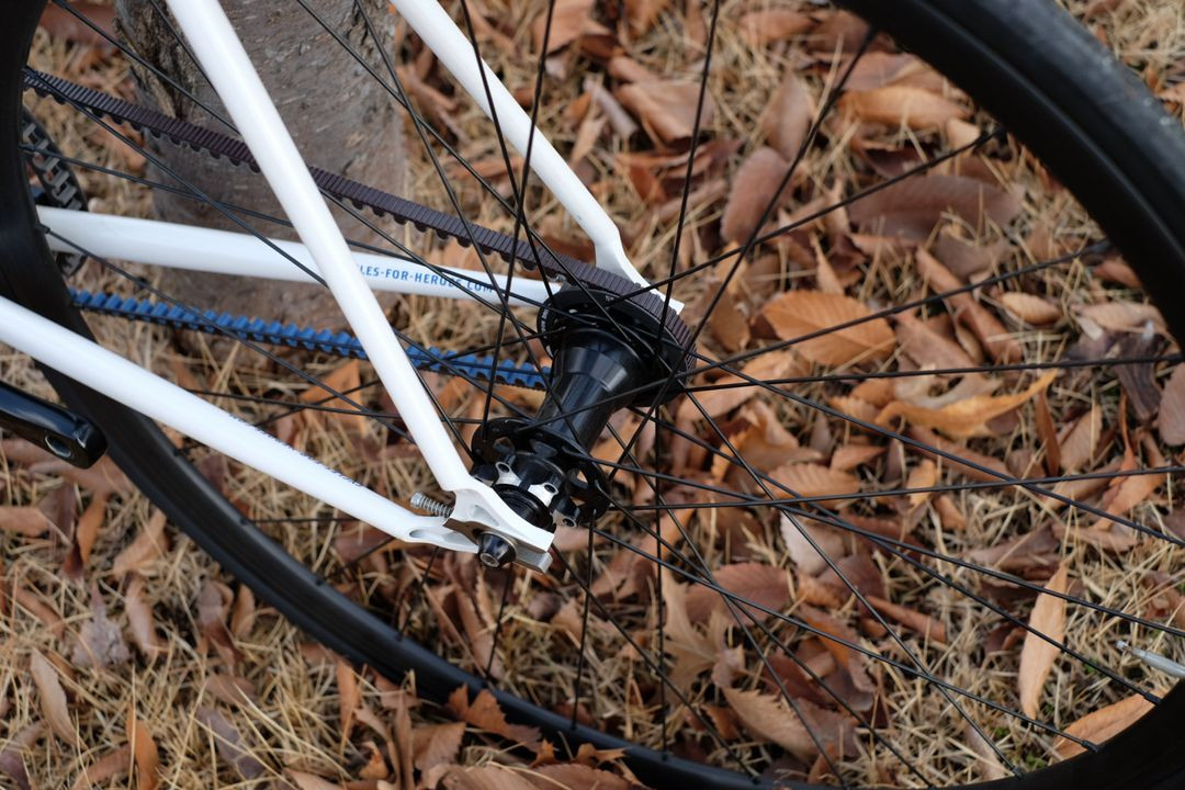 Fixie INC. Peace Maker Gates 카본 벨트 드라이브 픽시 / 싱글 스피드 자전거 S 사이즈--9