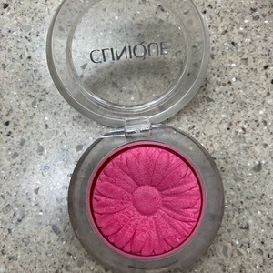 크리니크 치크팝 플럼팝 단종템