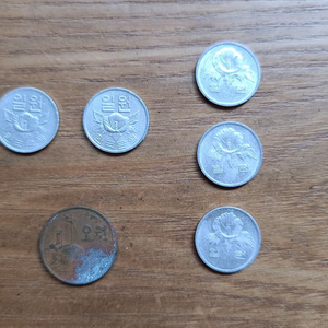 희귀 동전 1970/5원, 1979/1원, 1980/1원, 1983/1원/3개 [일괄 택포 3만]