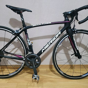 메리다 스컬트라 5000 xxs