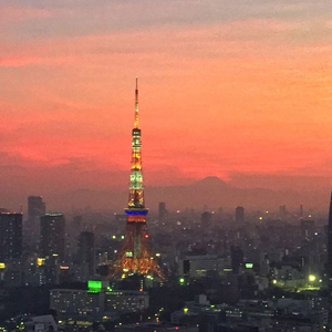 시부야스카이 1, 2월 일몰 야간 시간대 입장권