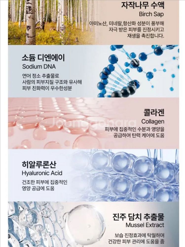 [새제품]블루폴 저분자콜라겐/PDRN/나이아신/자작나무 앰플미스트--1