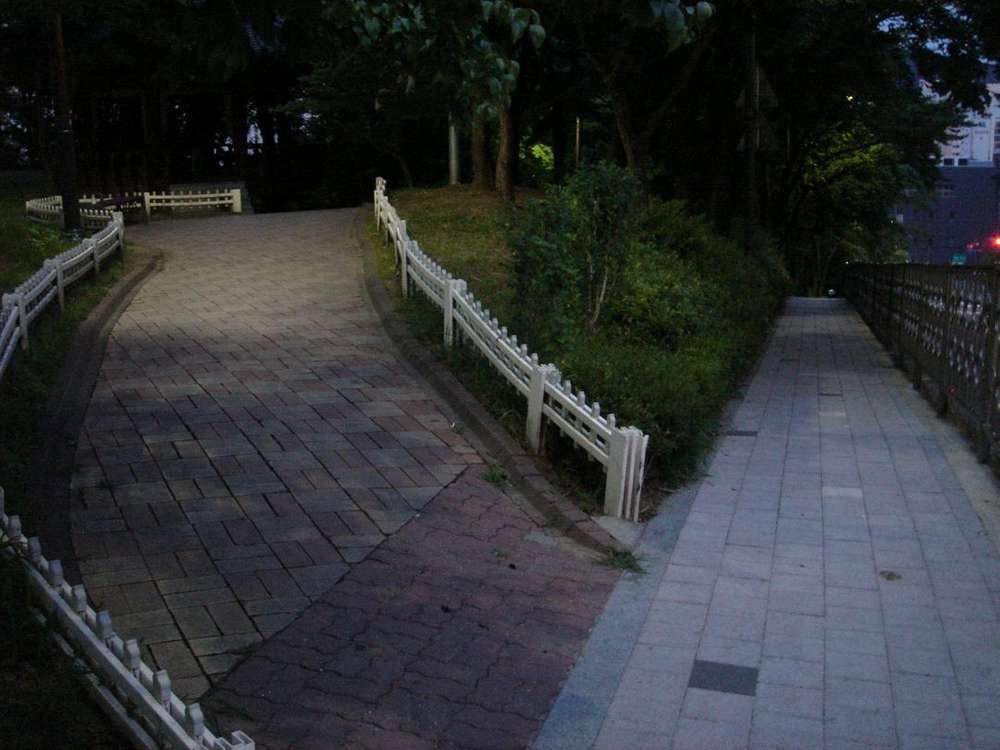 소니 사이버샷 dsc t7 디카 (빈티지 카메라)--7