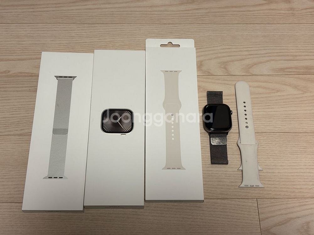 애플워치 10 셀룰러 + GPS 46 mm 내추럴 티타늄 + 애플케어 플러스--1