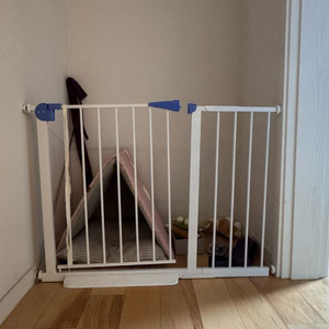 애견 안전문 이미지