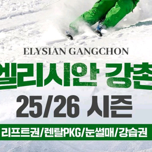 엘리시안 강촌 스키장 25/26 주말대인 4시간권 이미지