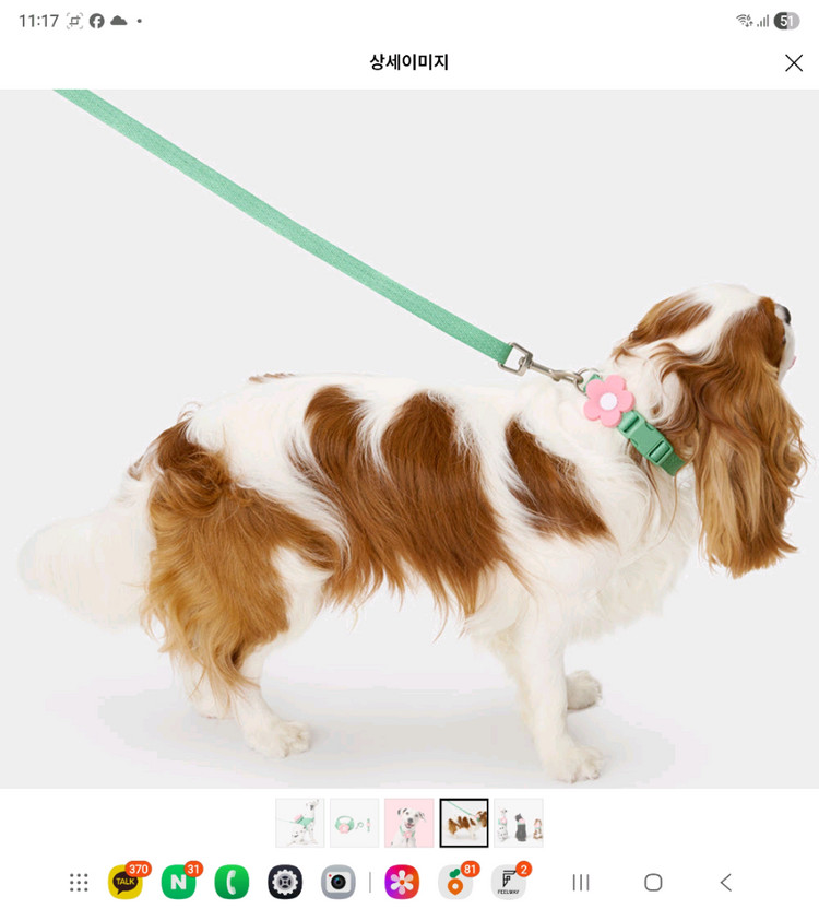 모몽 베트레스카 플라워 강아지 하네스 M 민트 새거 이미지