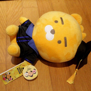 카카오프렌즈 새상품 라이언 졸업식 라이언인형 리틀라이언 리틀프렌즈 인형 곰인형 곰돌이인형 애착인형 졸업선물 졸업