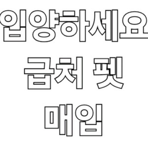입양하세요 급처 펫 구해요! 이미지