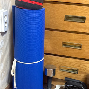 파란색 요가매트 + 덤벨 & 푸쉬업바 세트