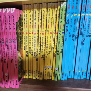 여원미디어 자연관찰책 팝니다 이미지