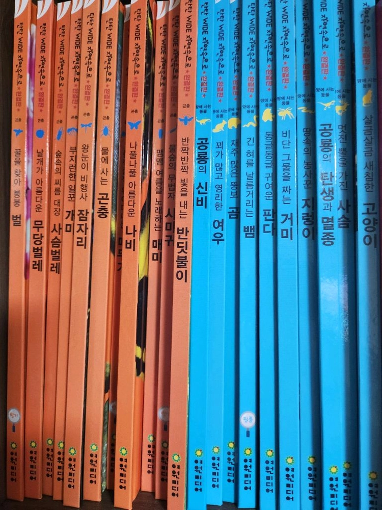 여원미디어 자연관찰책 팝니다 이미지