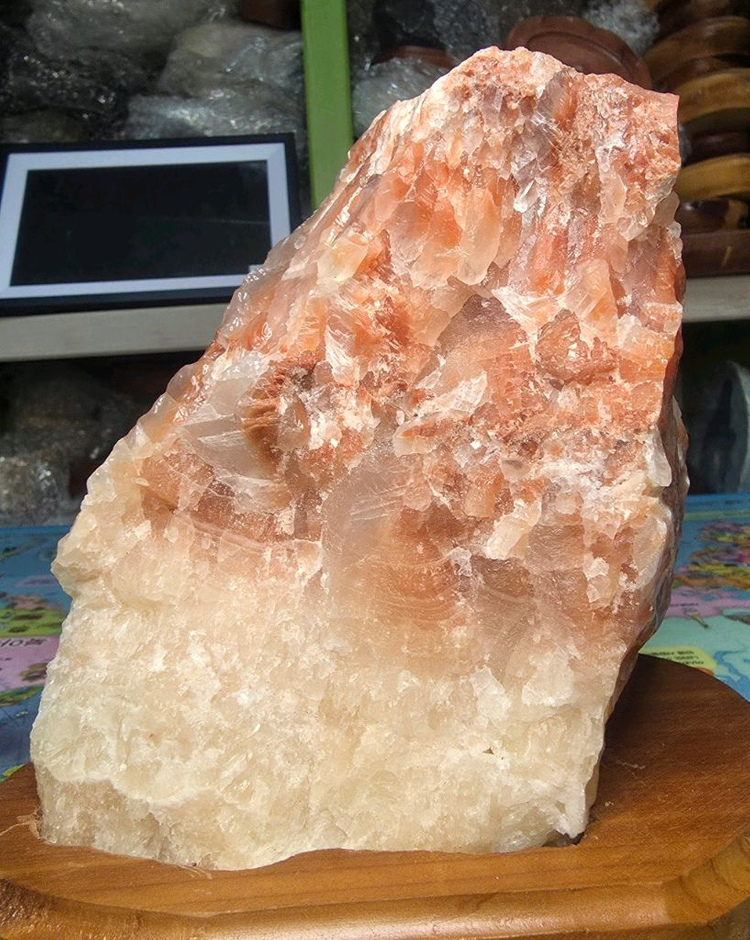 레드칼사이트--1