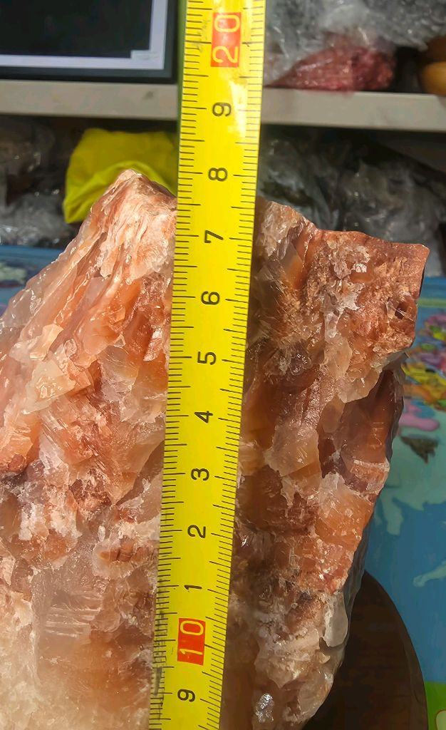 레드칼사이트--2