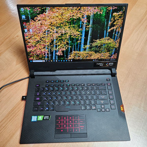 ASUS ROG Strix G531GV 게이밍 노트북 17 RTX2060 32G