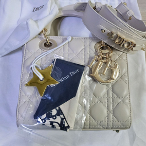 디올 레이디백 스몰 라떼 금장 급처