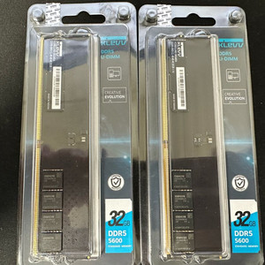 DDR5 32GB 메모리 2개 세트