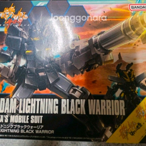 반다이 hg 블랙 워리어