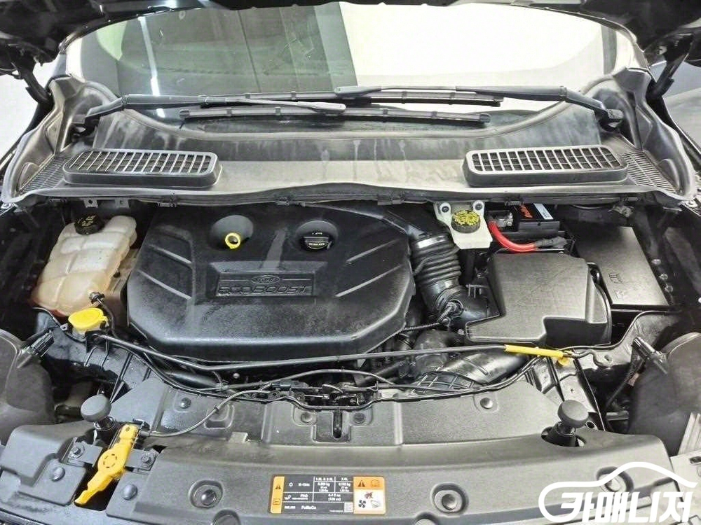 [포드]이스케이프 2.0 (5인승) #2026년특가 이미지