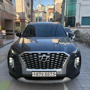 펠리세이드 판매합니다