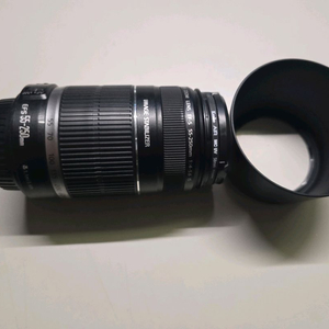 캐논 EF-S 55-250mm 헝그리망원