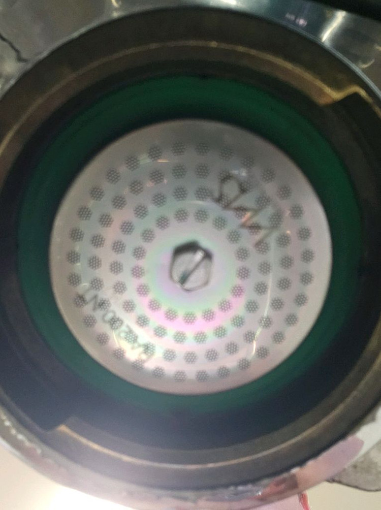 란실리오 실비아--1