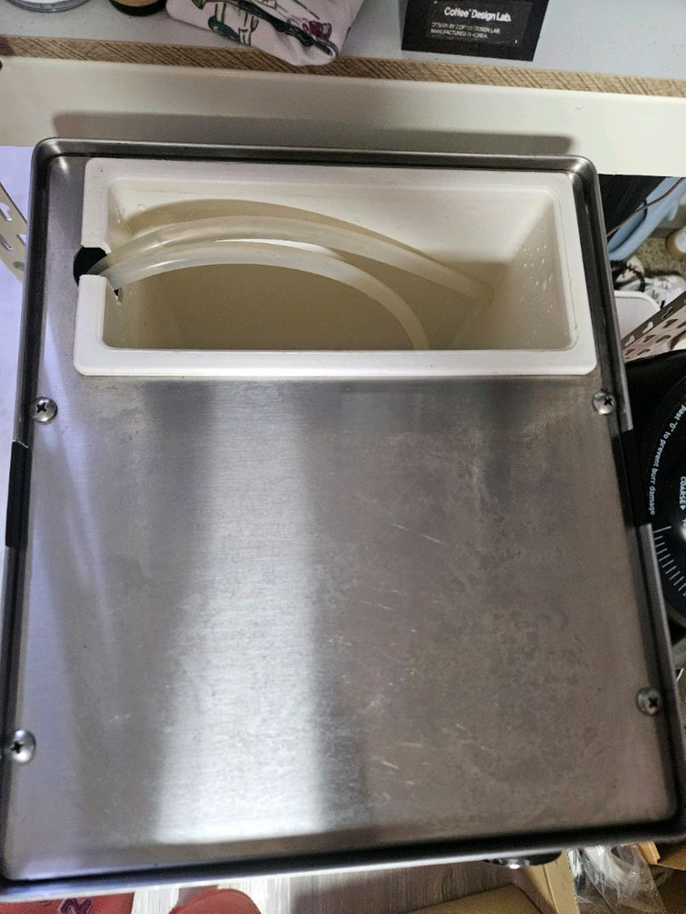 란실리오 실비아--2