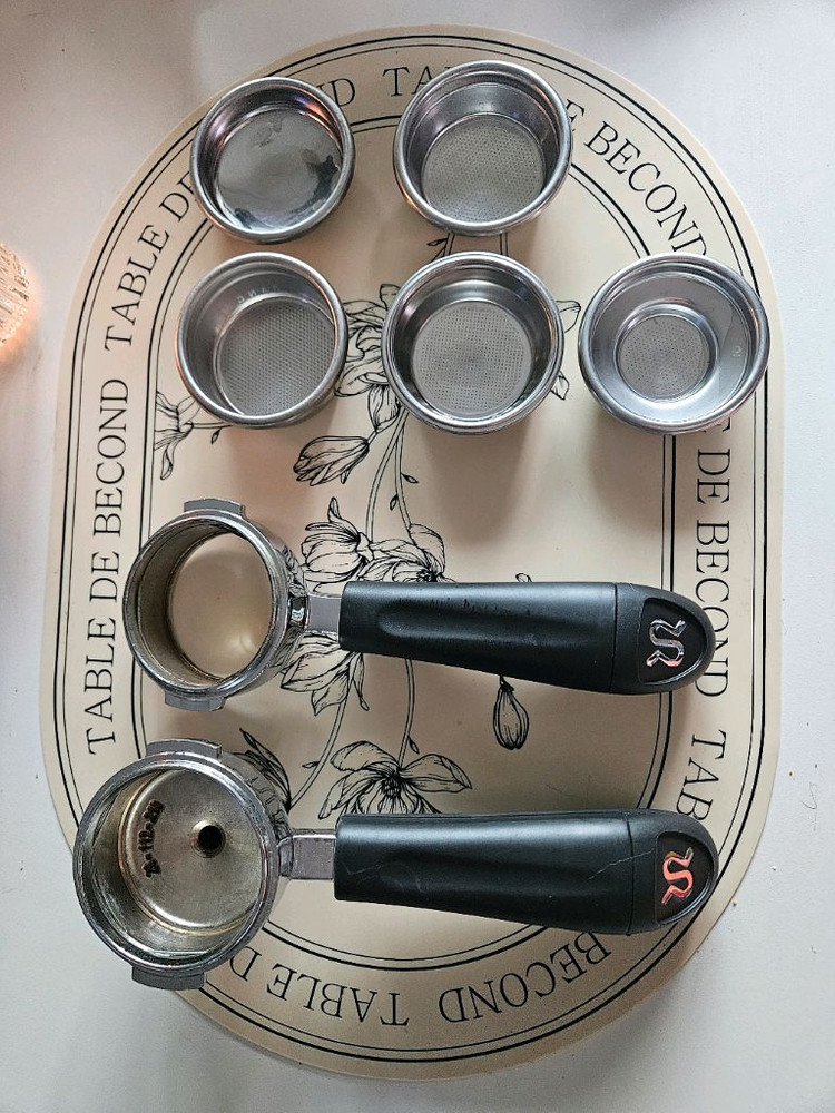 란실리오 실비아--5