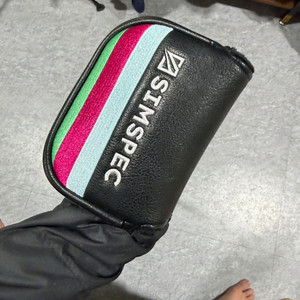 심짱 퍼터 심스펙 34인치 이미지