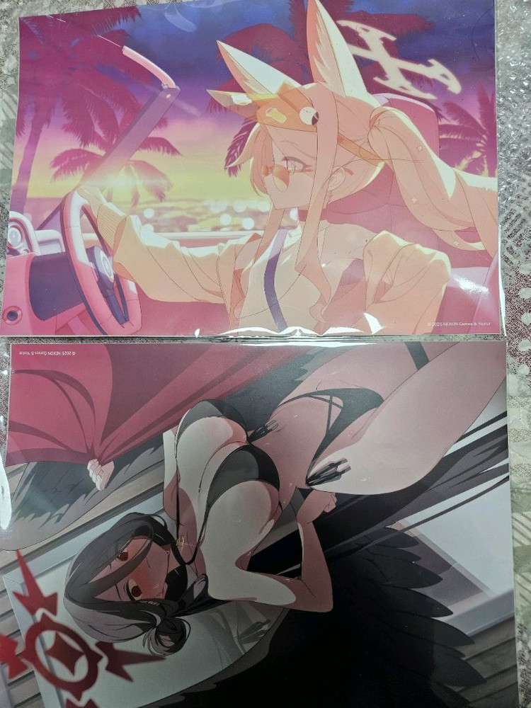 블루아카이브 목욕포스터 2종, 하스미 수영복 아크릴 스탠드 판매합니다.--1