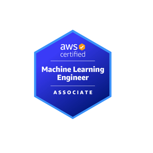 AWS Certified Machine Learning Engineer - Associate dump