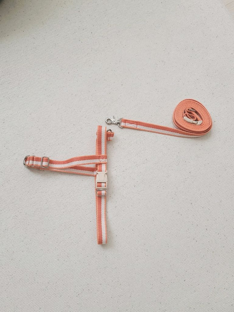 새상품) 티어라움 선셋하네스 강아지 하네스 + 리드줄 세트 반려견 산책용품 이미지