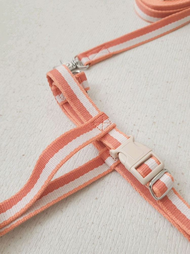 새상품) 티어라움 선셋하네스 강아지 하네스 + 리드줄 세트 반려견 산책용품 이미지