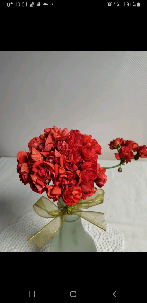 j 넬라판타지아 제라늄--1