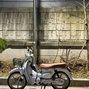 혼다 슈퍼커브 110 23년식