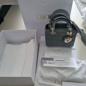 디올 레이디백 스몰 스톤그레이