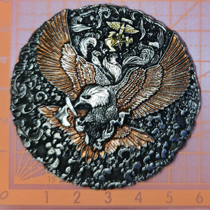 해병대 항공단 신형(부대 군대)코인