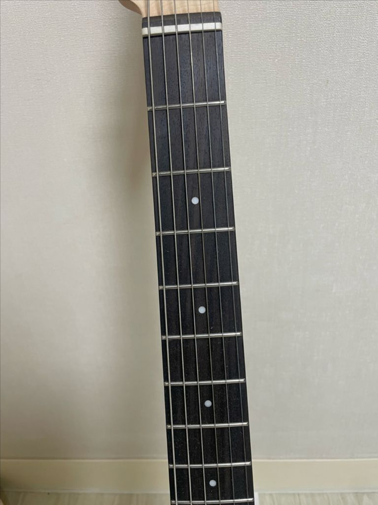 헥스 입문용 일렉기타 E100 이미지