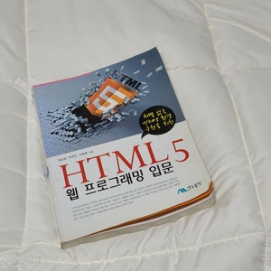 HTML5 웹 프로그래밍 입문 홈페이지 개발 책 생능출판사