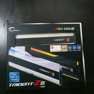 G.SKILL Trident Z RGB DDR5-6000 64GB CL30 64GB(32GB x 2) 화이트패지