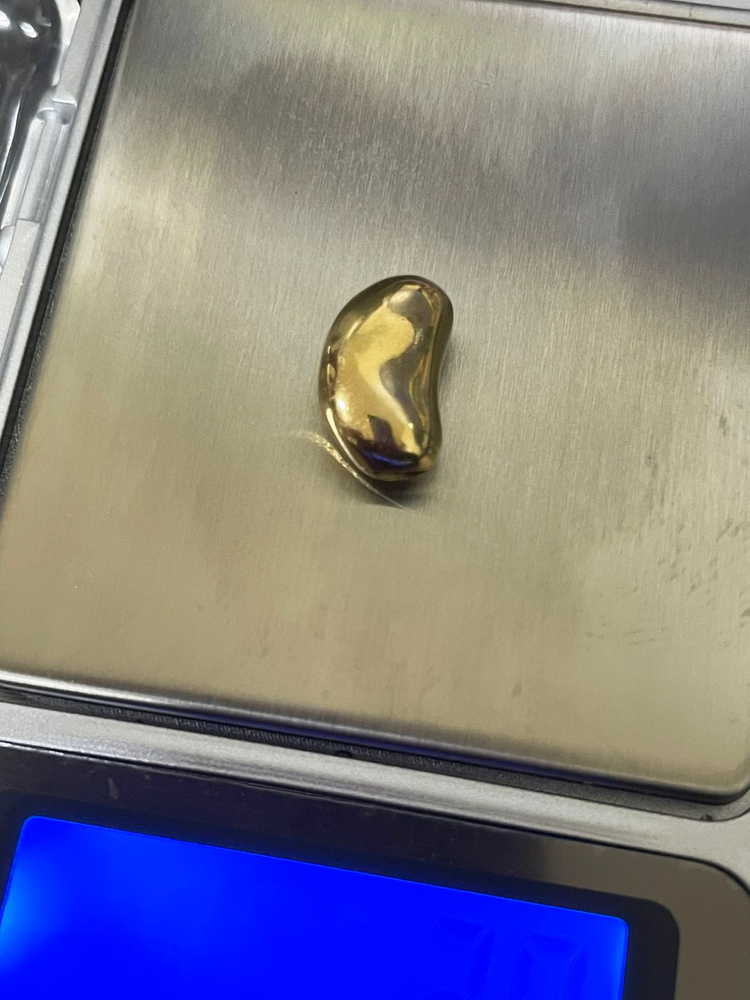 14K 옐로우 골드 콩 팬던트 강남콩 모양 목걸이 펜던트 이미지