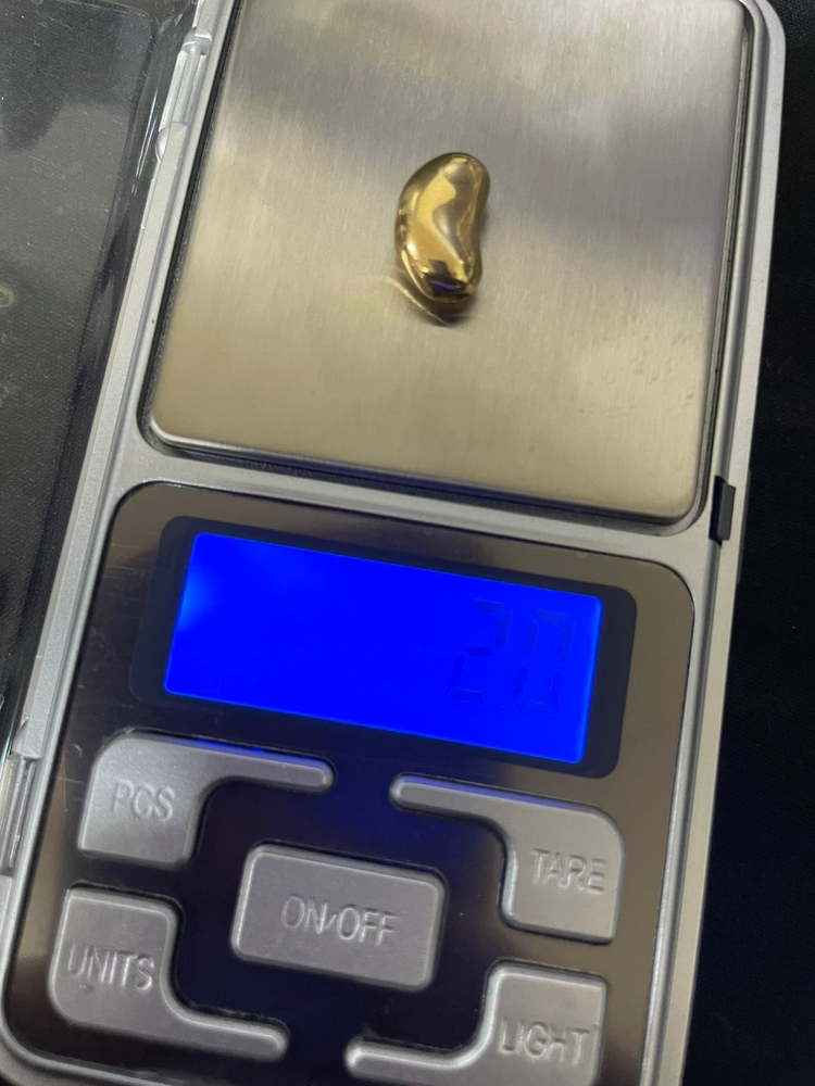 14K 옐로우 골드 콩 팬던트 강남콩 모양 목걸이 펜던트 이미지