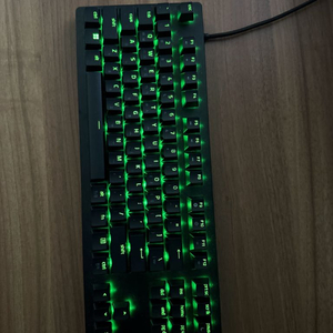 레이저 헌츠맨 v2 리니어 풀윤활