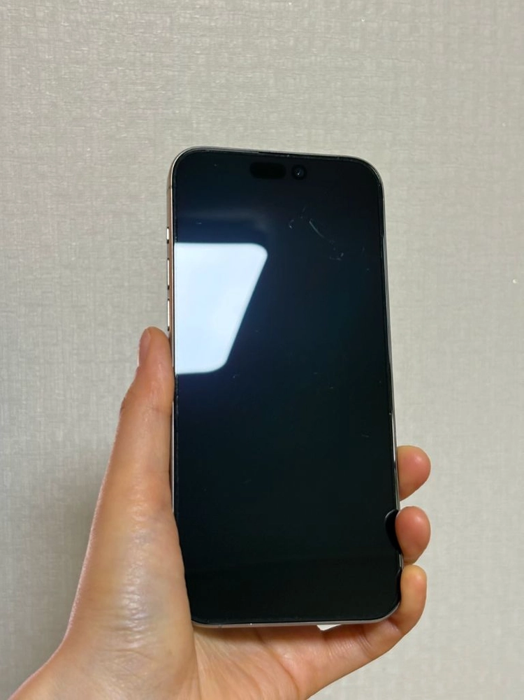 아이폰15 프로맥스 256GB (홍콩판 자급제 듀얼심 카메라무음) 이미지