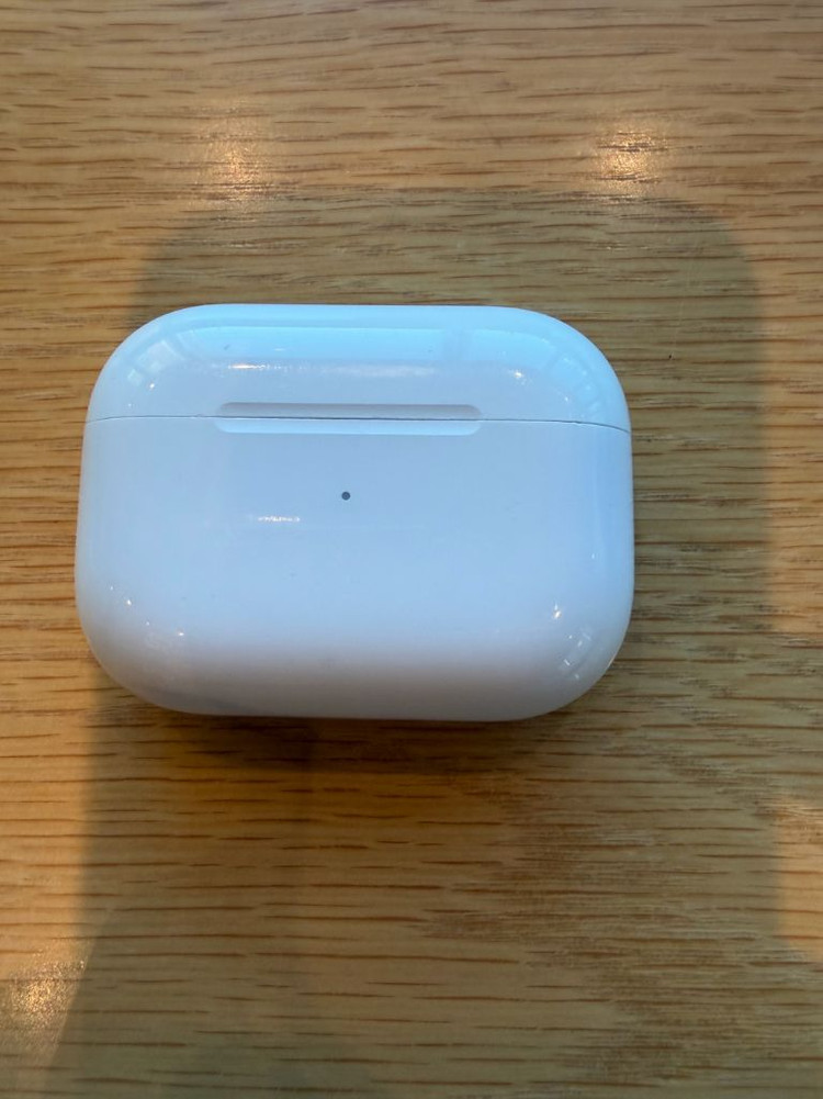 애플 에어팟 프로 1세대 이미지