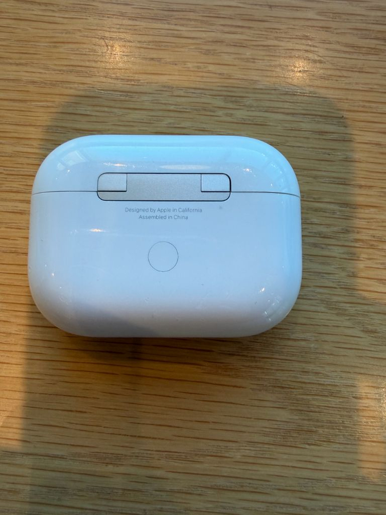 애플 에어팟 프로 1세대 이미지