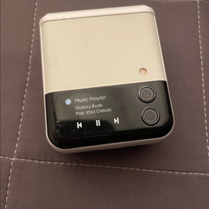 갤럭시 버즈 프로 2 이미지