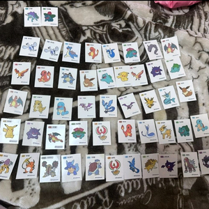 포켓몬 전설포함 띠부씰/망그러진곰/치이카와 이미지