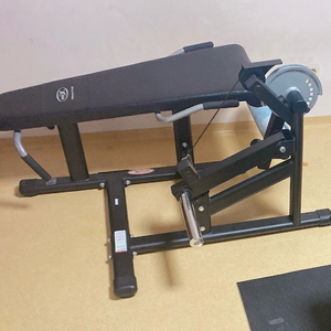 바디엑스 소가 레그컬 익스텐션겸용,레그슬레드 판매합니다