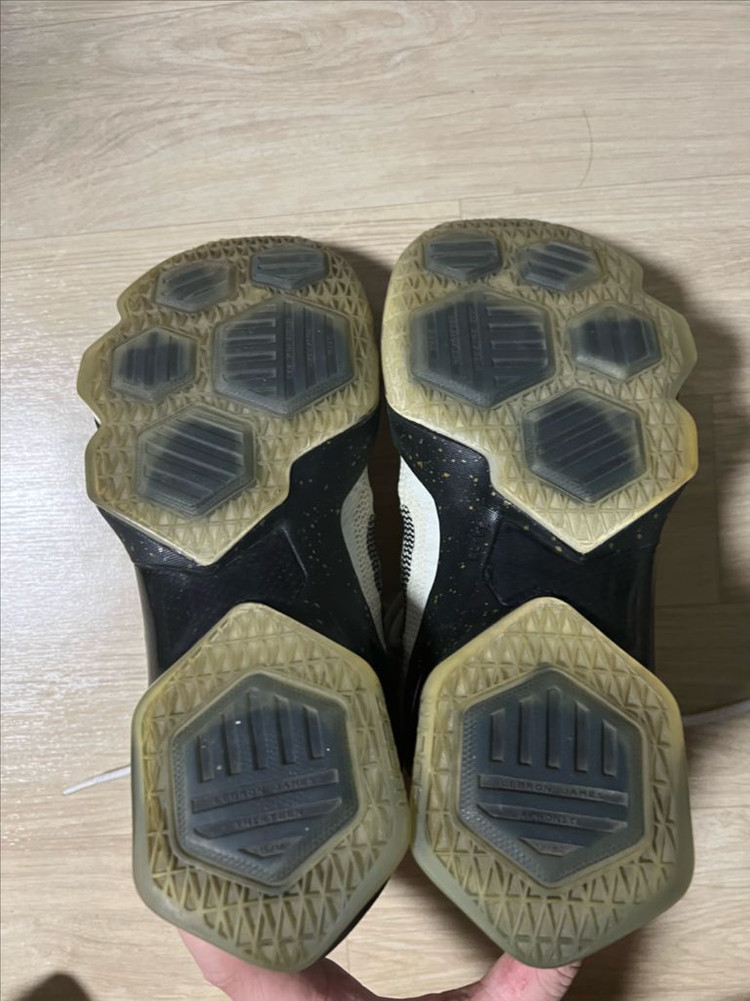 나이키 르브론13 엘리트 260 이미지